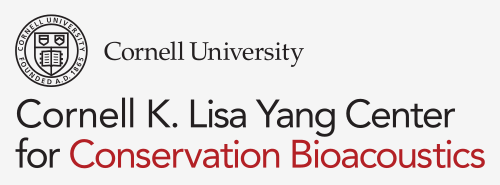 Cornell Logo